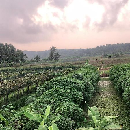 Villa Anandha Thiruvananthapuram Esterno foto