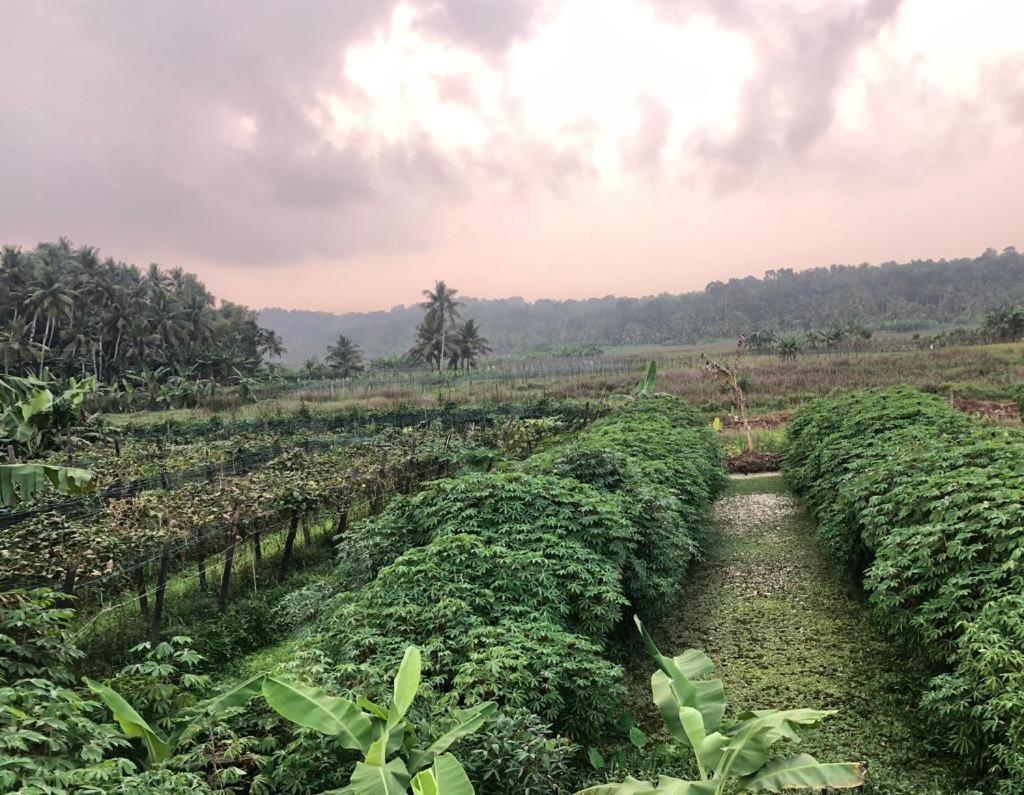 Villa Anandha Thiruvananthapuram Esterno foto