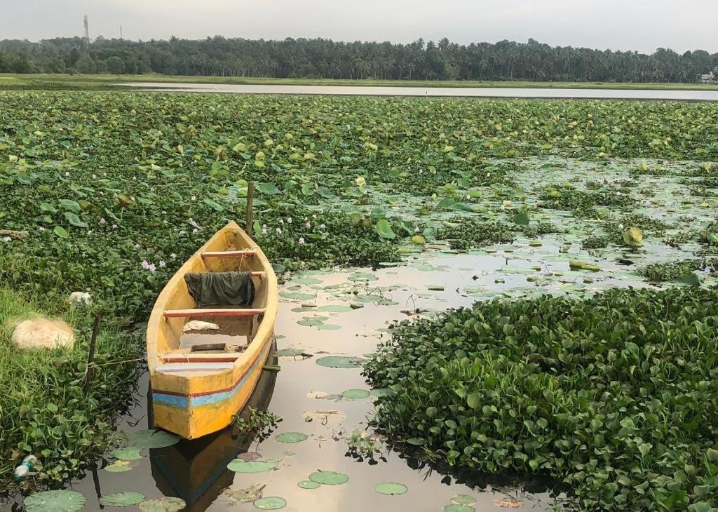 Villa Anandha Thiruvananthapuram Esterno foto
